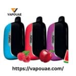 Fummo Power 15000 Puffs None Rechargeable