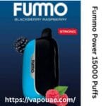 Fummo Power 15000 Puffs None Rechargeable