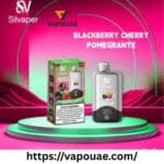 Silvaper 15000 Puffs Disposable Vape in UAE