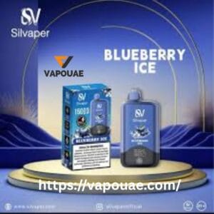 Silvaper 15000 Puffs Disposable Vape in UAE