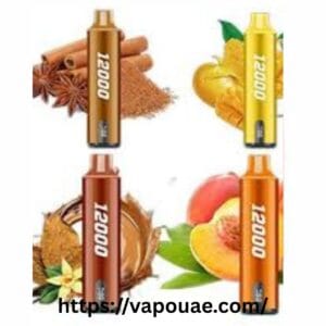 SMOOTH Whale Disposable 2% & 5% 12000 Puffs