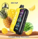 Oxbar 45k Puffs | Disposable Vape - Image 3