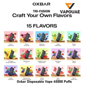 Oxbar Disposable Vape 45000 in Dubai uae