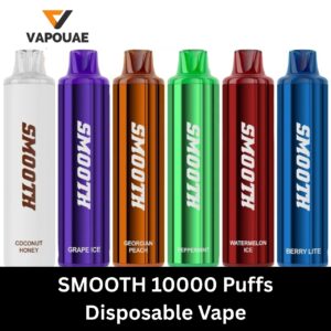 SMOOTH 10000 Puffs Disposable Vape in UAE
