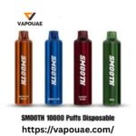 SMOOTH 10000 Puffs Disposable Vape in UAE