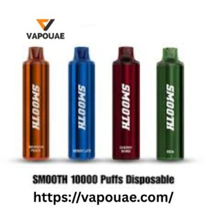 SMOOTH 10000 Puffs Disposable Vape in UAE