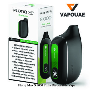 Flonq Max S 8000 | Puffs Disposable Vape In DUBAI
