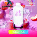 JNR Lion King 50k | 50mg Disposable Vape In Dubai - Image 3