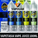 Vapetasia 100ml | E-Liquid In Dubai